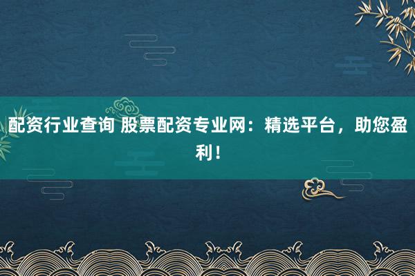 配资行业查询 股票配资专业网：精选平台，助您盈利！