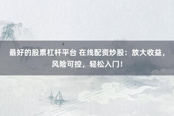 最好的股票杠杆平台 在线配资炒股：放大收益，风险可控，轻松入门！