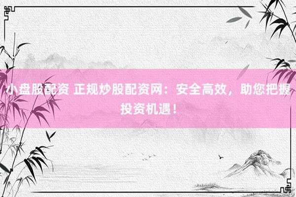 小盘股配资 正规炒股配资网：安全高效，助您把握投资机遇！