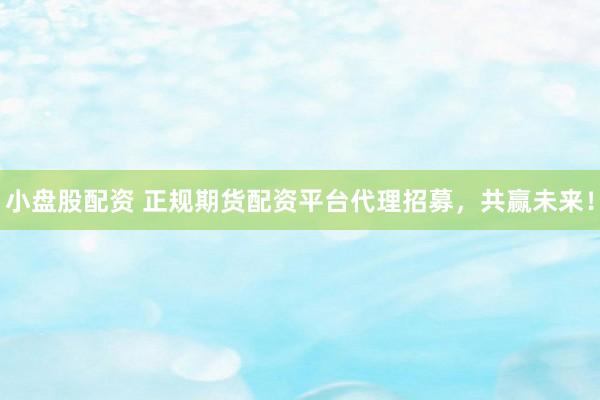 小盘股配资 正规期货配资平台代理招募，共赢未来！