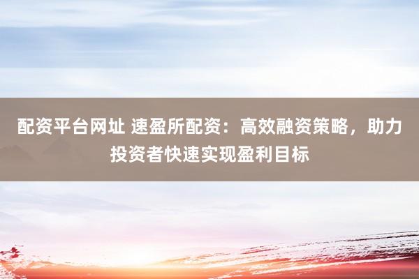 配资平台网址 速盈所配资：高效融资策略，助力投资者快速实现盈利目标
