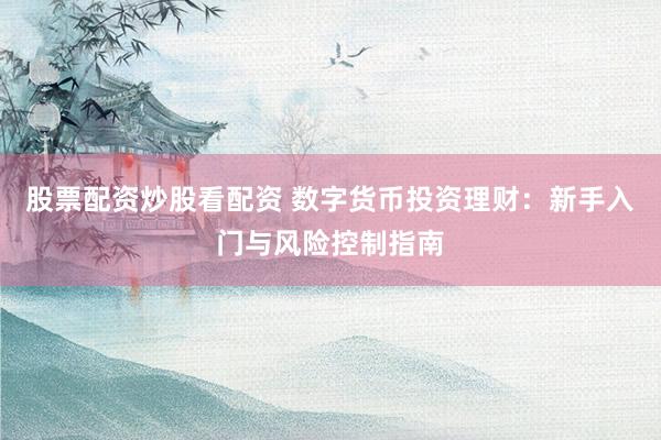 股票配资炒股看配资 数字货币投资理财：新手入门与风险控制指南
